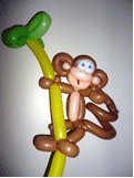 Monkey